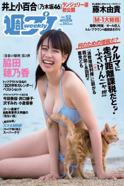 新版猫咪